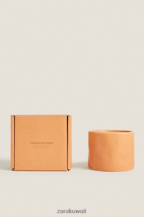 Zara (150 جرام) شمعة معطرة بالزهر للجنسين البرتقالي مُكَمِّلات 6L6LL81757
