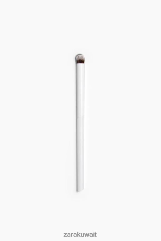 Zara فرشاة العين 1 نحيف إبداعي مُكَمِّلات 6L6LL8817