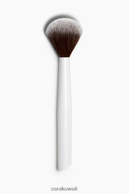 Zara فرشاة الوجه 1 نحيف إبداعي مُكَمِّلات 6L6LL8819