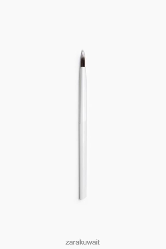 Zara فرشاة العين 2 نحيف إبداعي مُكَمِّلات 6L6LL8816