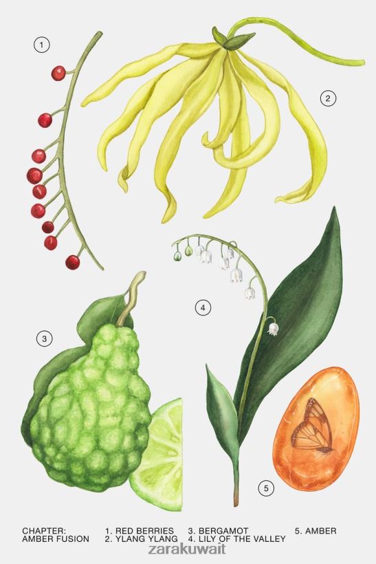 Zara عنبر فيوجن 30 مل نحيف إبداعي مُكَمِّلات 6L6LL8780