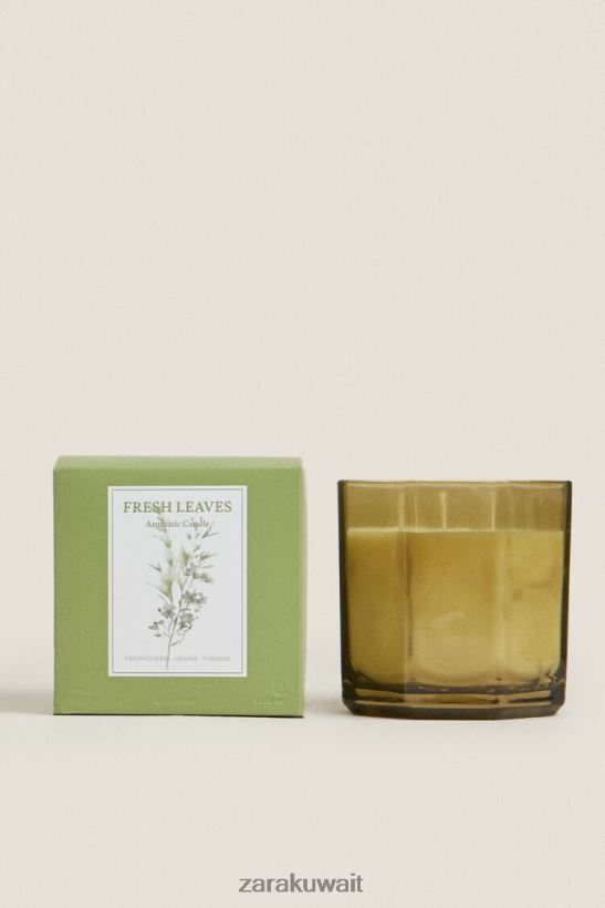Zara (500 جرام) شمعة معطرة بالأوراق الطازجة للجنسين أرض مُكَمِّلات 6L6LL81763