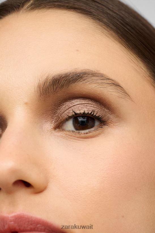 Zara ظلال العيون المعدنية نحيف إبداعي مُكَمِّلات 6L6LL81505