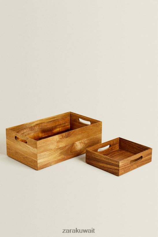 Zara صندوق تخزين للجنسين البيج الفاتح مُكَمِّلات 6L6LL81695