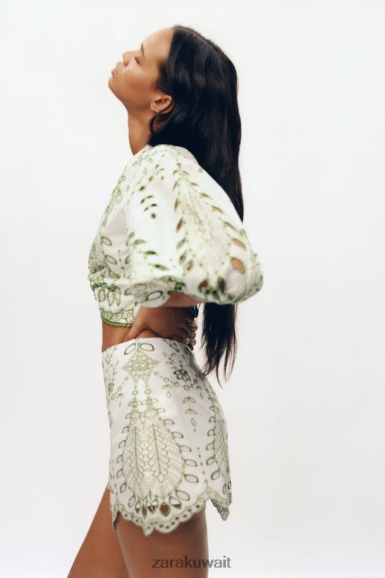 Zara السراويل المطرزة نحيف أخضر/إكرو ملابس 6L6LL8576