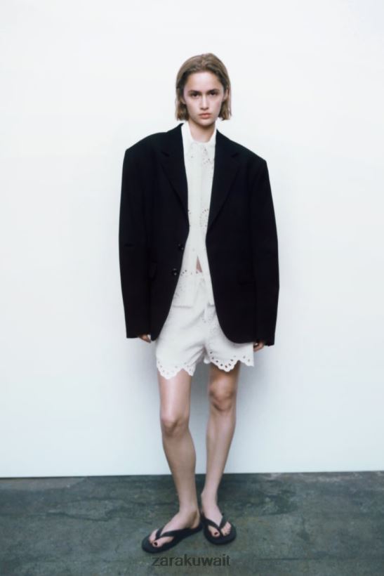 Zara السراويل العيينة المطرزة نحيف المحار الأبيض ملابس 6L6LL8593