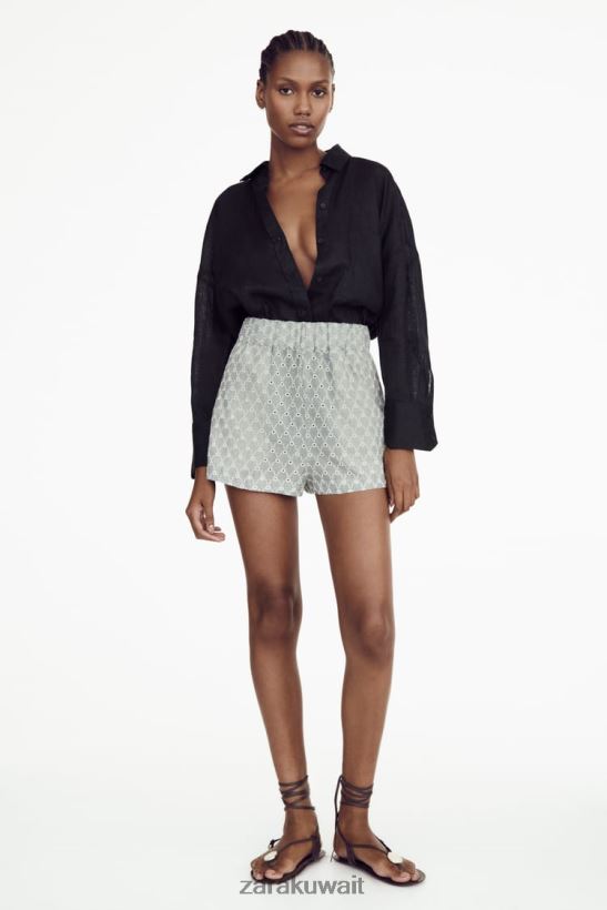 Zara السراويل العيينة المطرزة نحيف بيج فاتح/أزرق ملابس 6L6LL8613