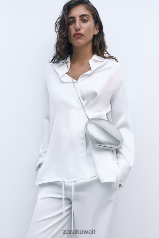 Zara حقيبة صندوق معدني نحيف فضة مُكَمِّلات 6L6LL8748